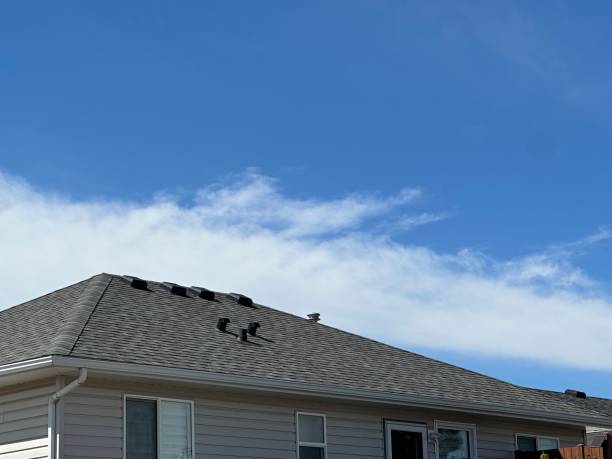 Best Green or Eco-Friendly Roofing Solutions  in Tustin, CA